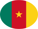 Cameroon's flag